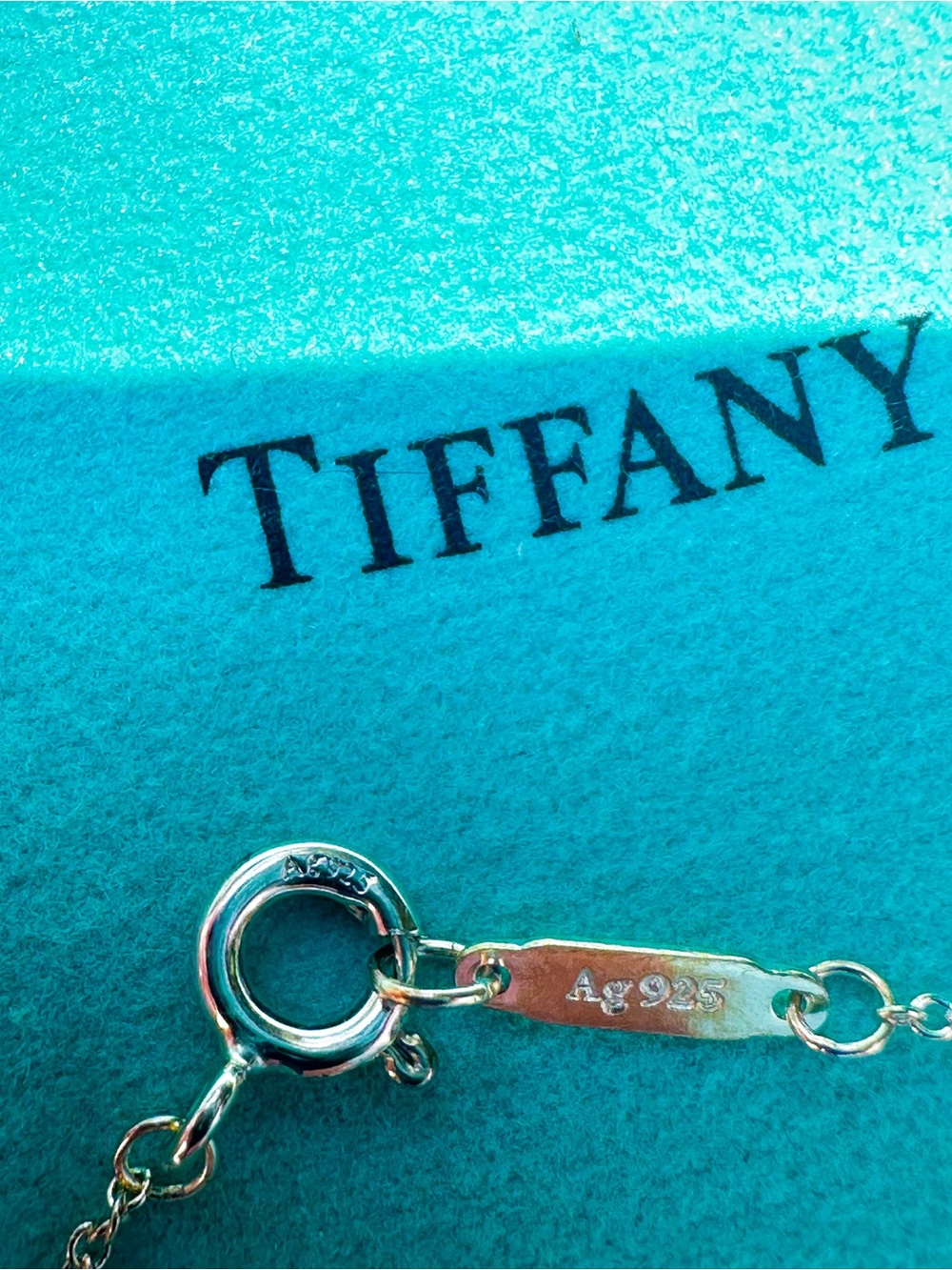Tiffany & Co Purse Charm Necklace - Picture 7 of 7
